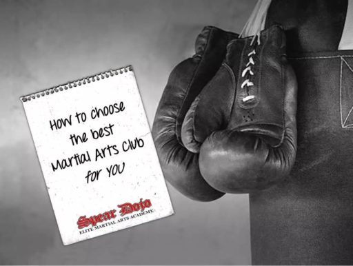 How to choose the best Martial Arts club